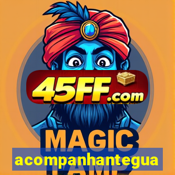 acompanhanteguanambi