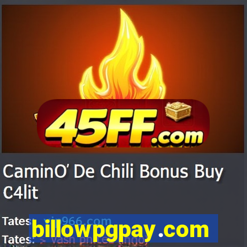 billowpgpay.com