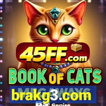 brakg3.com