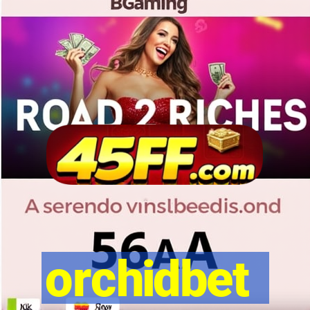 orchidbet