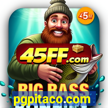 pgpitaco.com