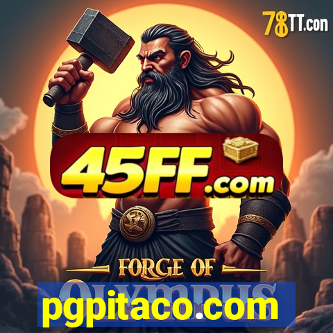 pgpitaco.com
