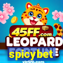 spicybet-2.com