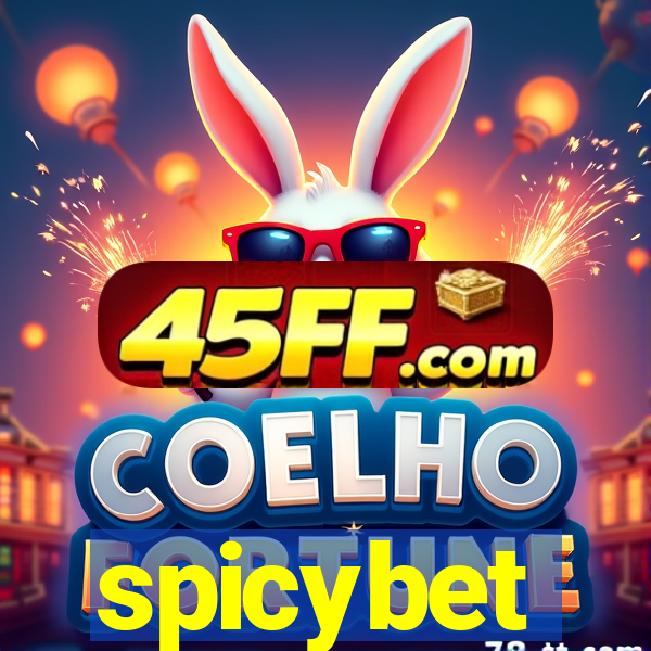 spicybet-4.com