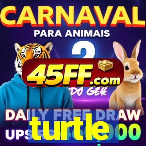 turtle-ty.com