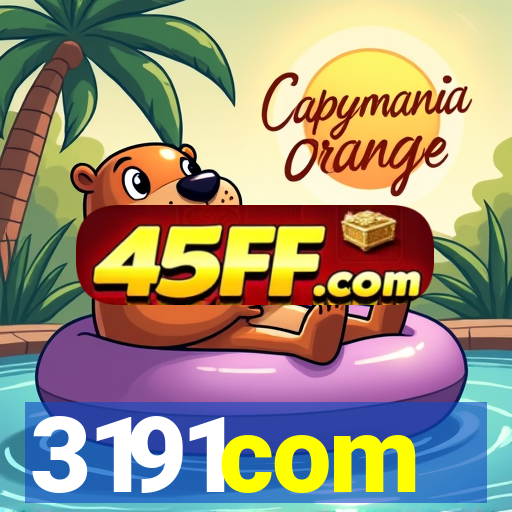 3191com